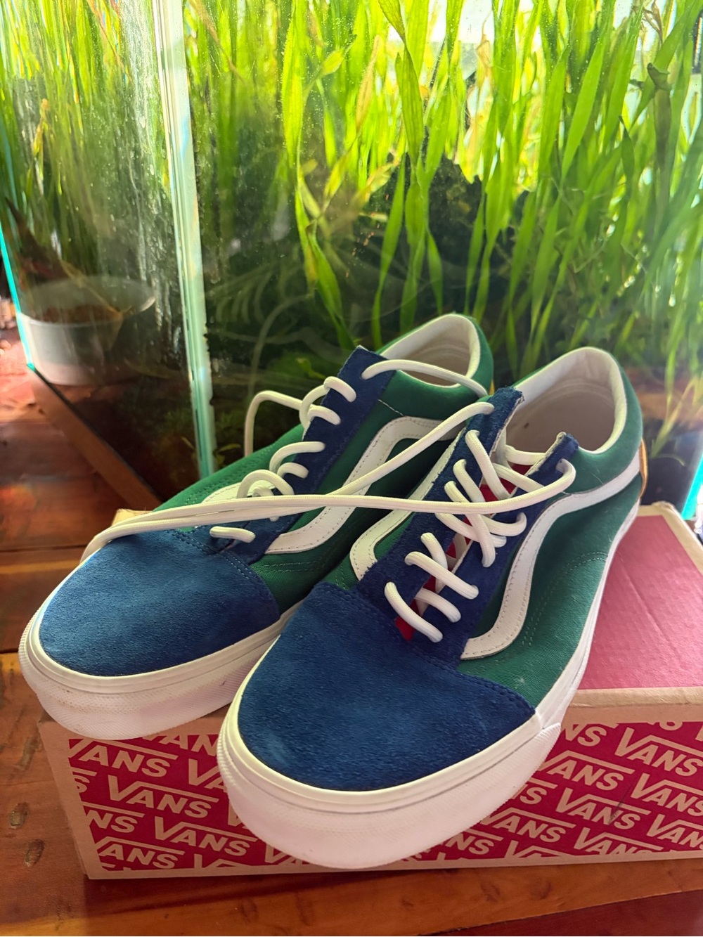 Vans Low-Top Lace-Up Sneakers in Blue, Green & White